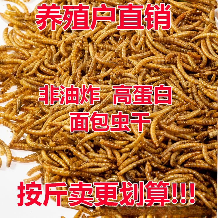 黄粉虫干仓鼠鹦鹉零食芦丁鸡料乌龟饲料高蛋白鲜活饲料面包虫