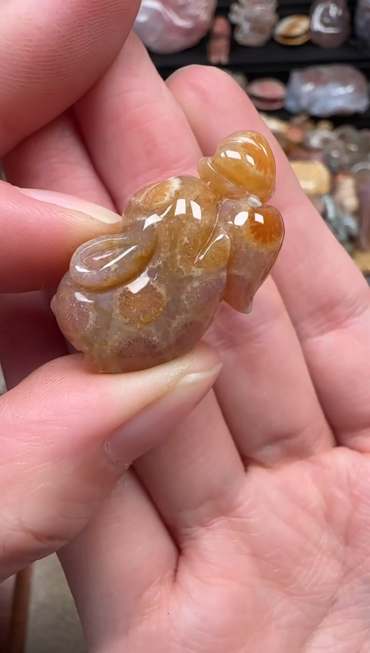 颈饰未镶嵌硅化珊瑚（珊瑚玉）650