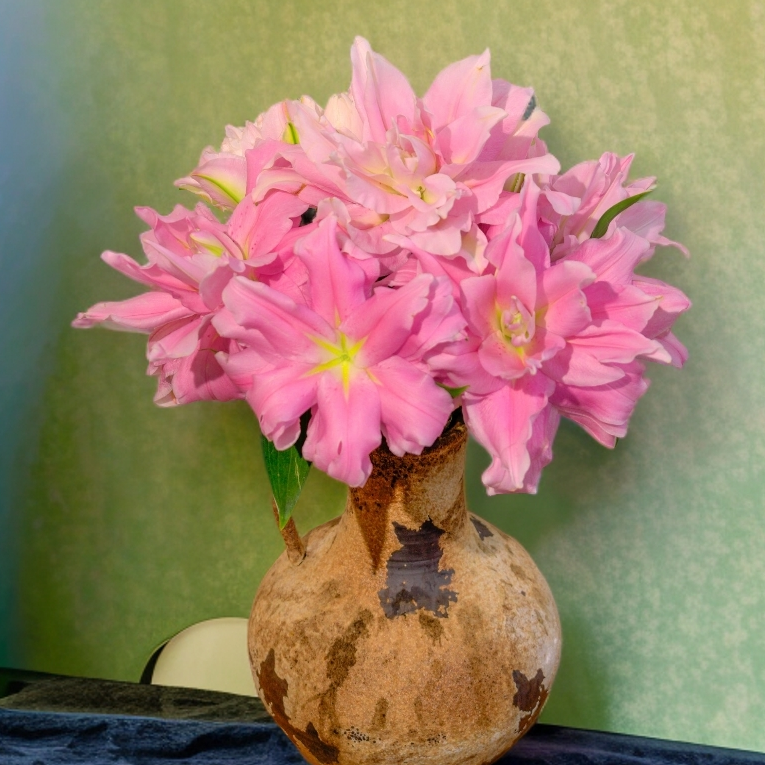 云南木木花卉 香妃 粉白重瓣香水百合花家居氛围感鲜花水养插花