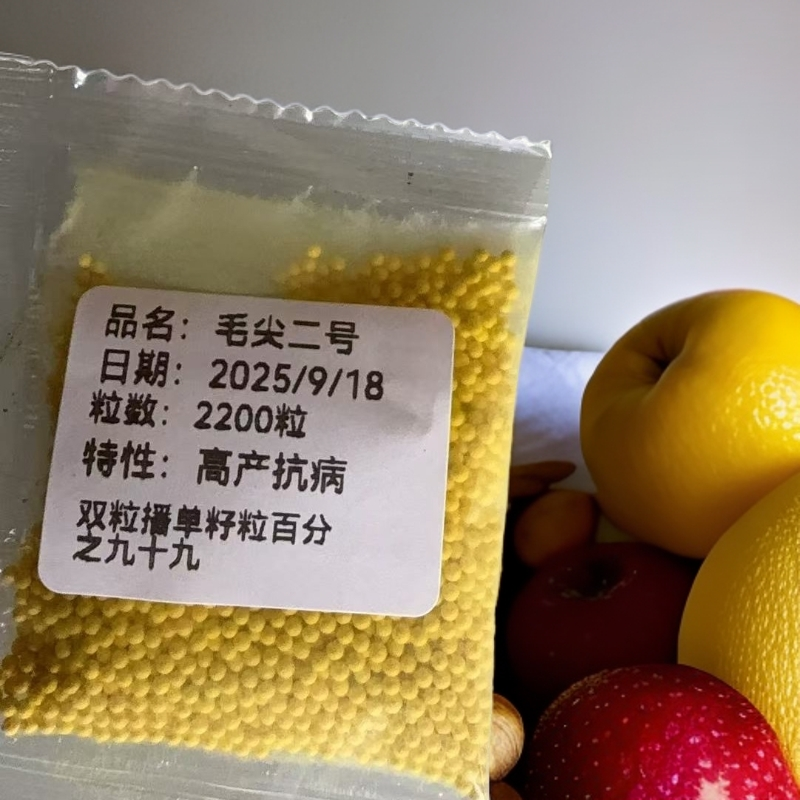 饵料毛尖二号2200粒，合适云贵川湖陕北
