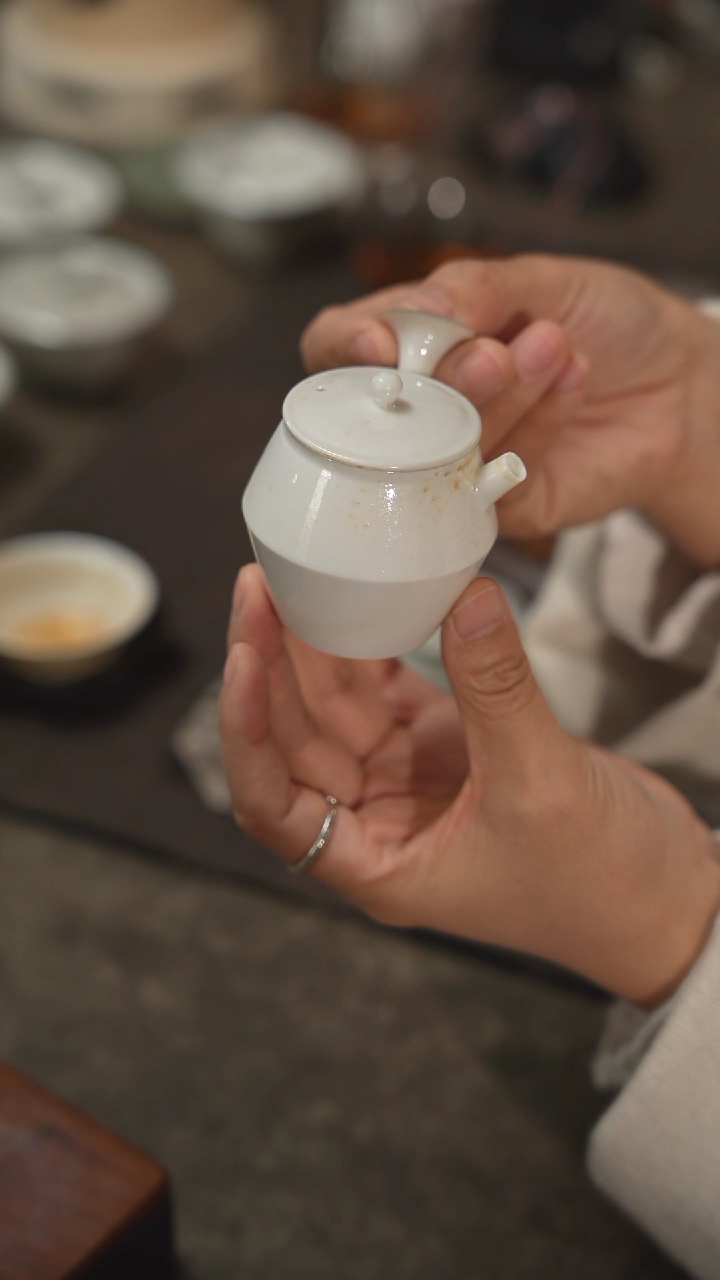 【闪购商品】其他柴烧侧把随机@@s2609