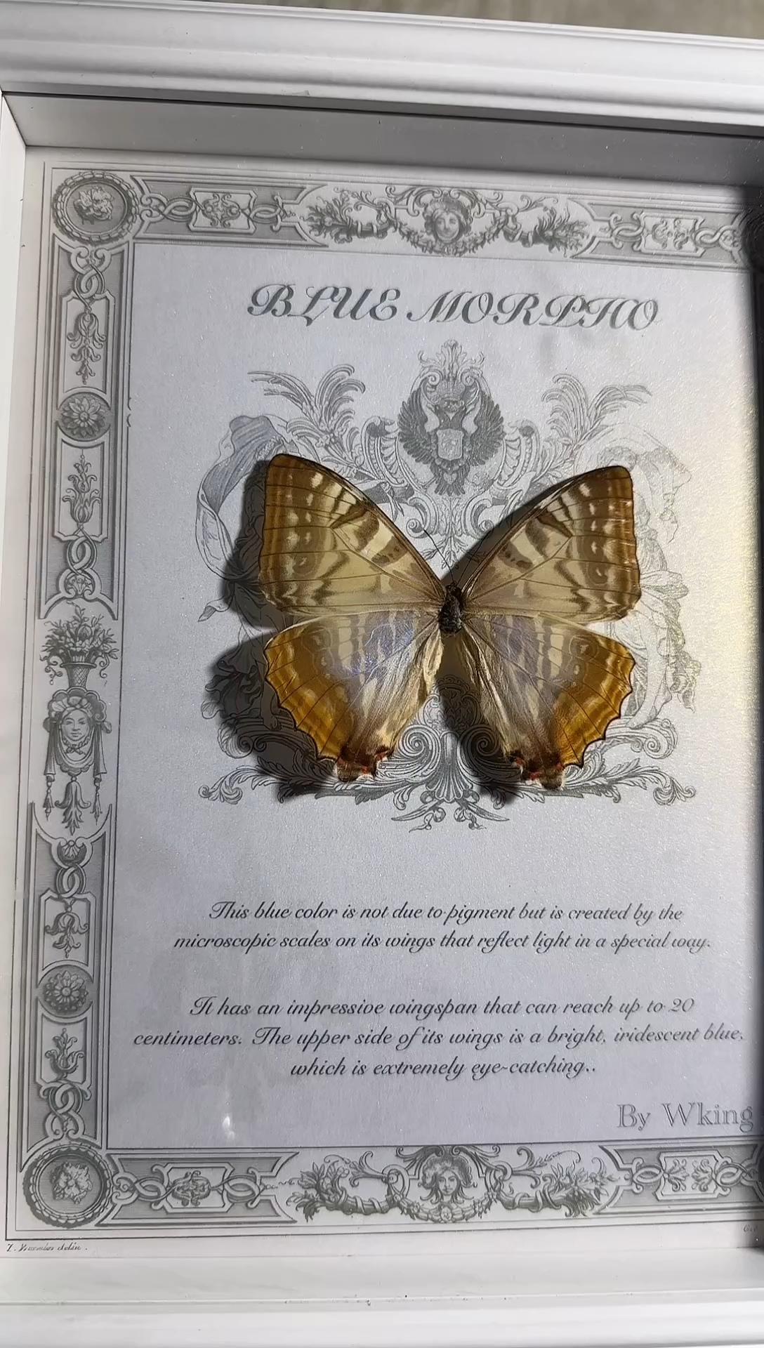 有机玻璃夜明柱雌10寸    