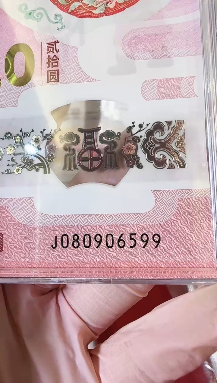 【闪购商品】塑料2025蛇钞啊啊啊啊啊啊啊啊单张裸