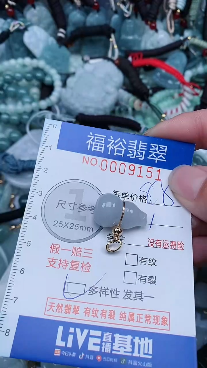 【闪购商品】翡翠颈饰未镶嵌...0009151多样性发其一