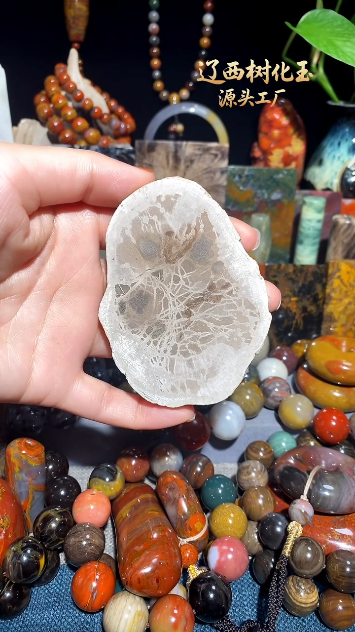 未镶嵌-硅化玉天然北票硅化玉原石