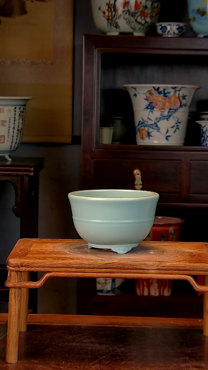 【闪购商品】红陶1