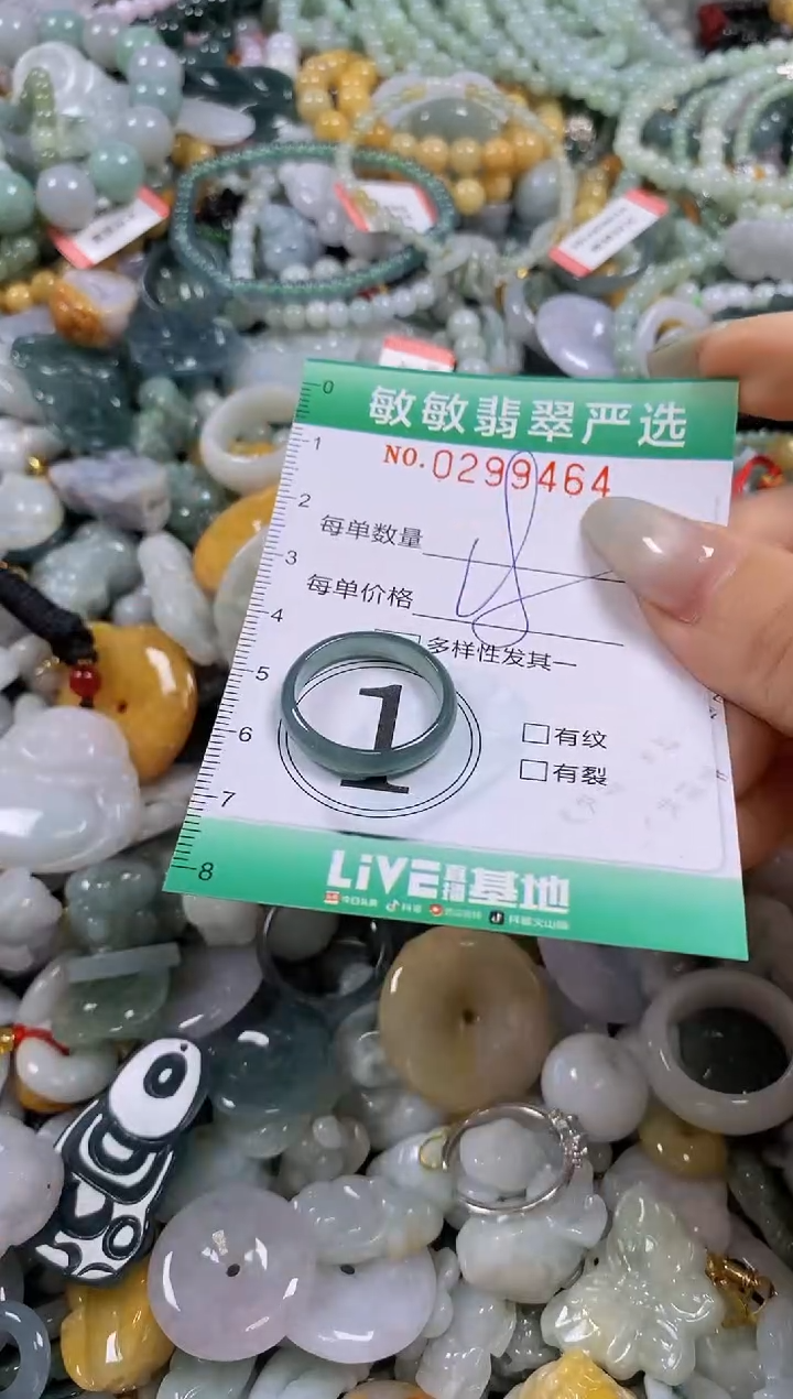 翡翠未镶嵌颈饰闪购0299464