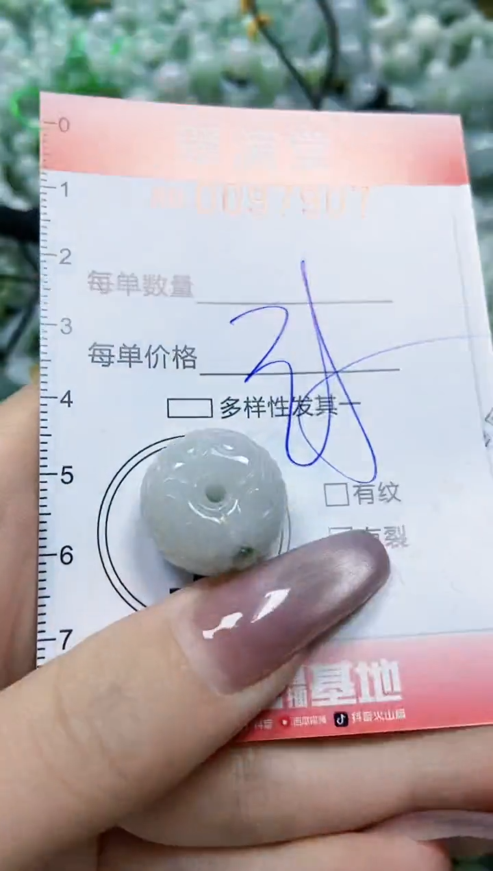 【闪购商品】翡翠颈饰未镶嵌闪购0097907
