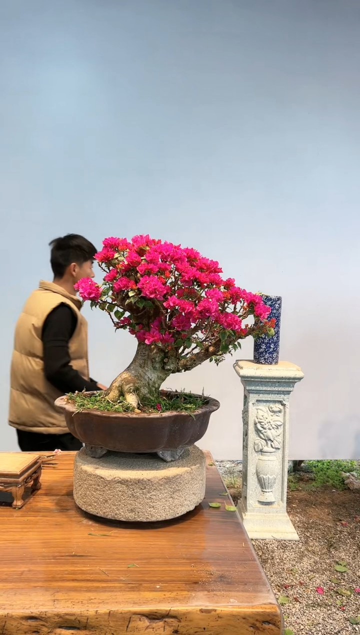 【闪购商品】aa911