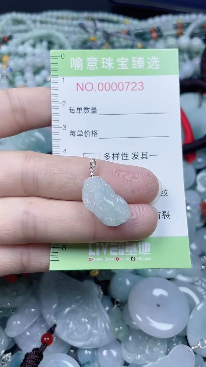 颈饰未镶嵌翡翠005