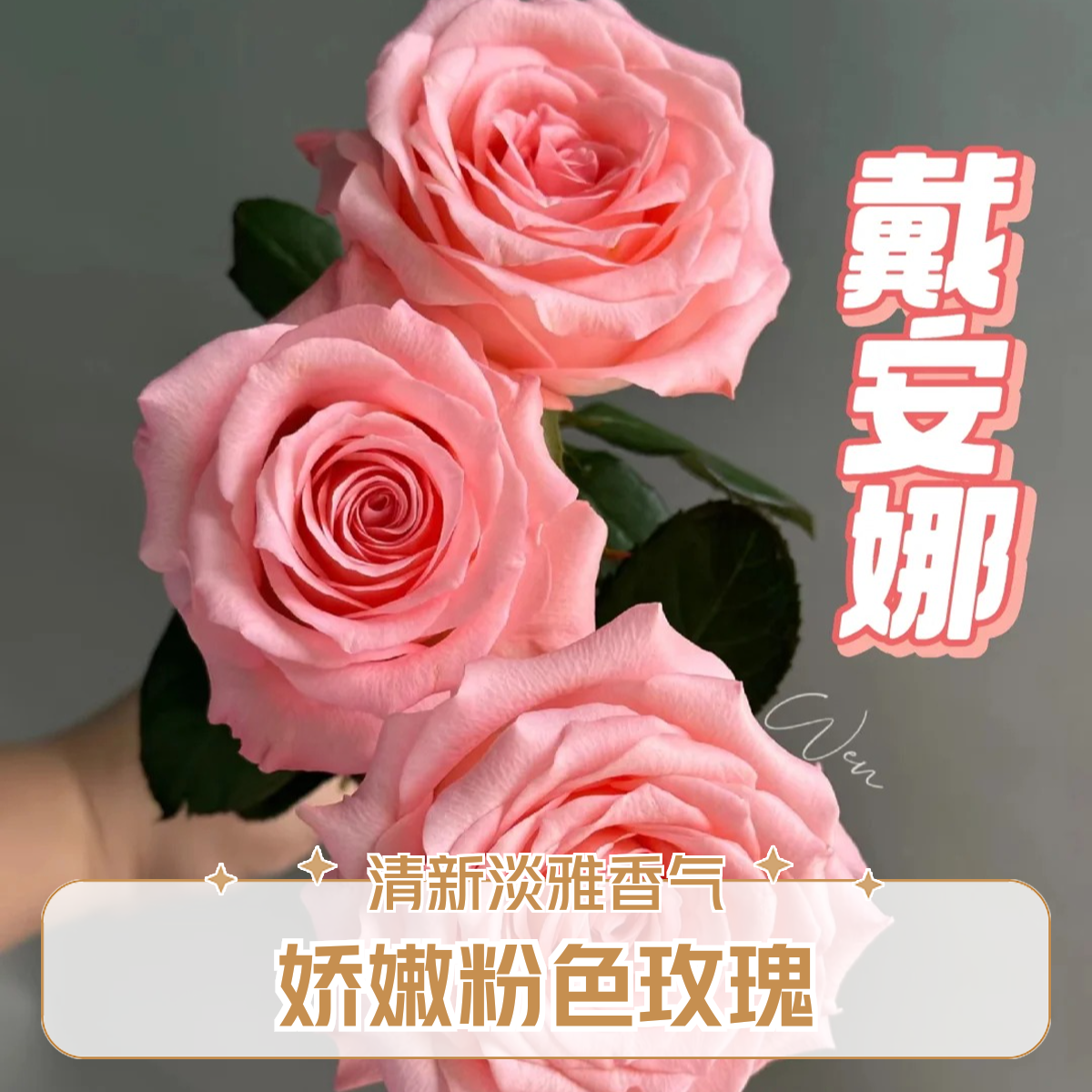 【10支戴安娜玫瑰】家居生活鲜花次日达昆明基地鲜花批发包邮