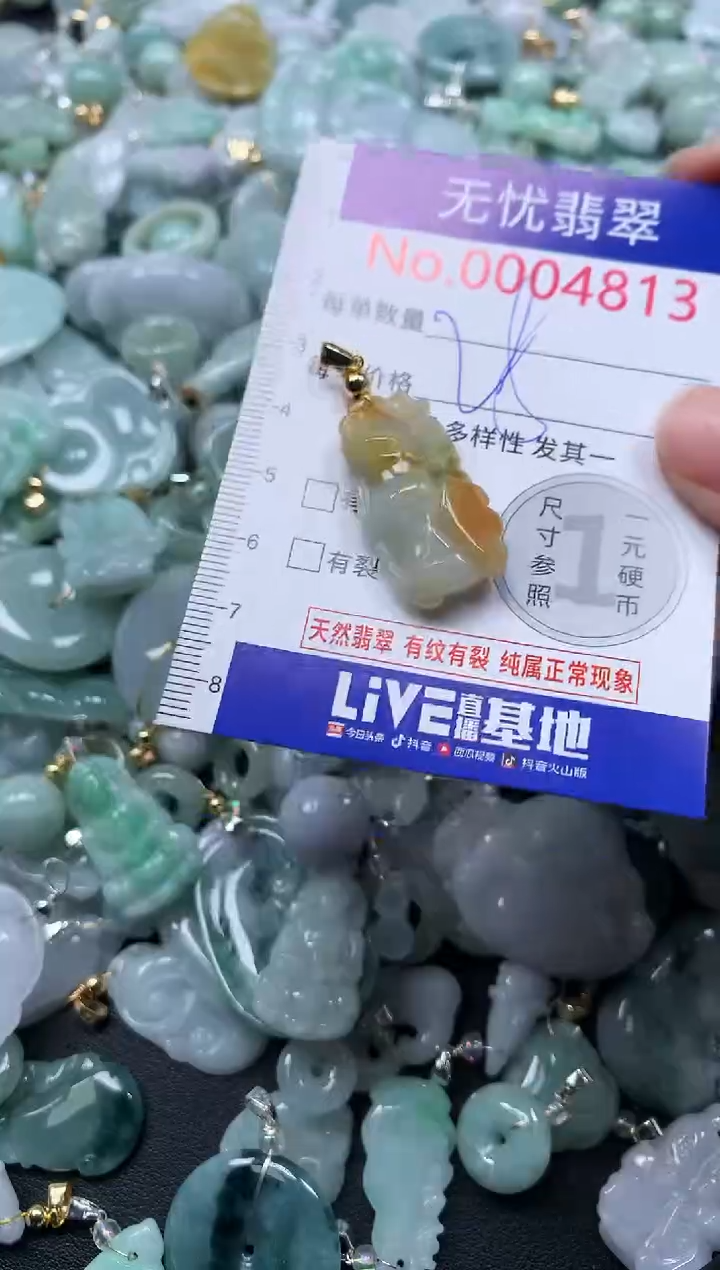 颈饰未镶嵌翡翠4813