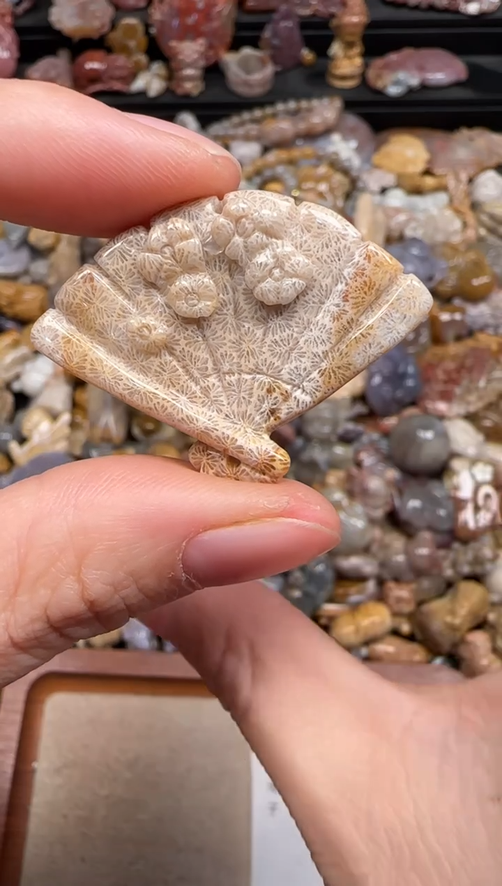 硅化珊瑚（珊瑚玉）未镶嵌颈饰207