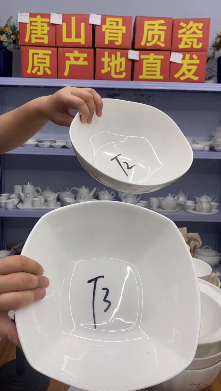 骨瓷T3T2骨质瓷*****