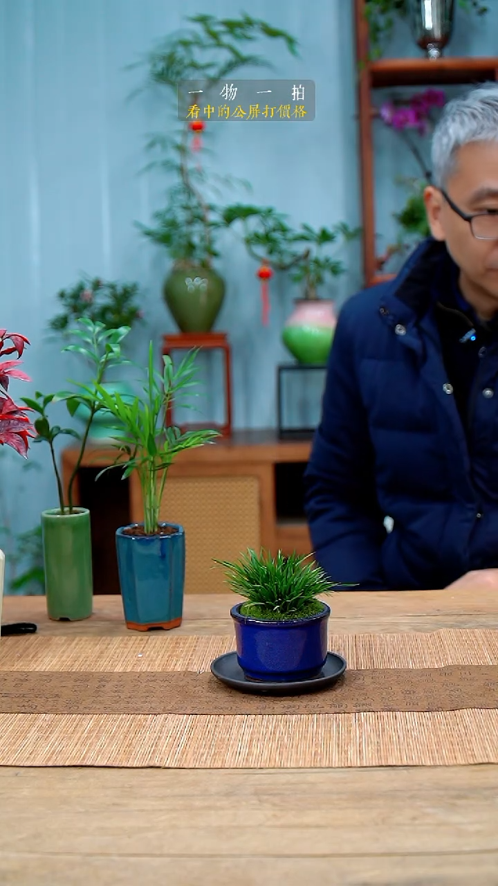 完全开放李*菖蒲264