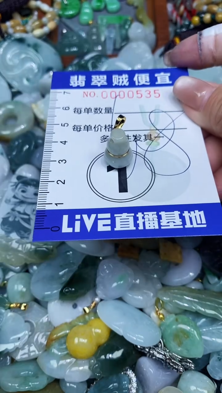 【闪购商品】翡翠颈饰未镶嵌闪购0000535多样性发其一