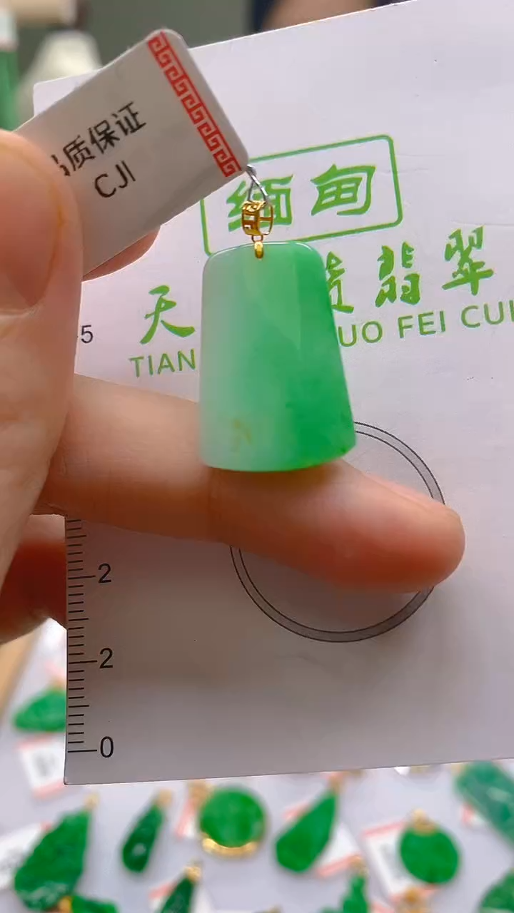 【闪购商品】翡翠颈饰18K金镶嵌新号开播，全场乱卖