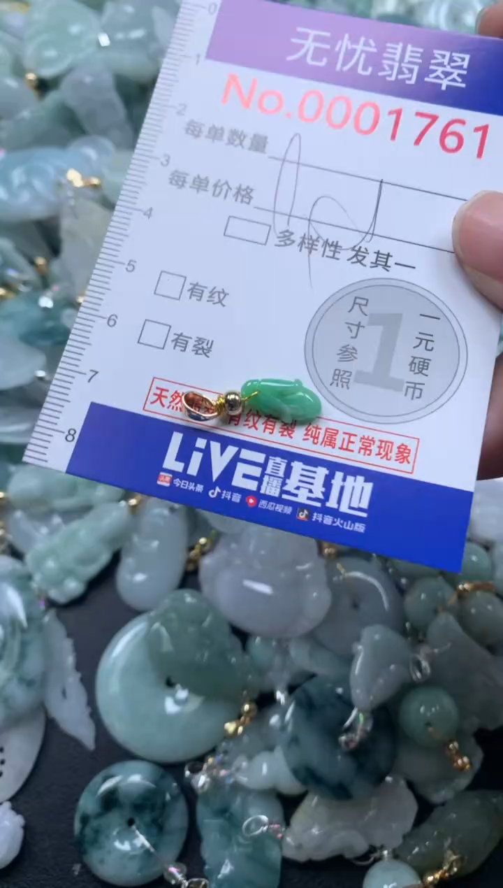 颈饰未镶嵌翡翠1761