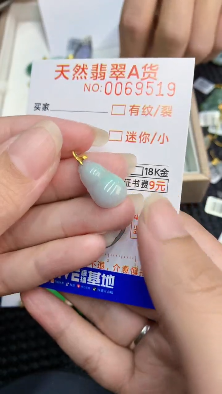 【闪购商品】翡翠颈饰18K金镶嵌            8