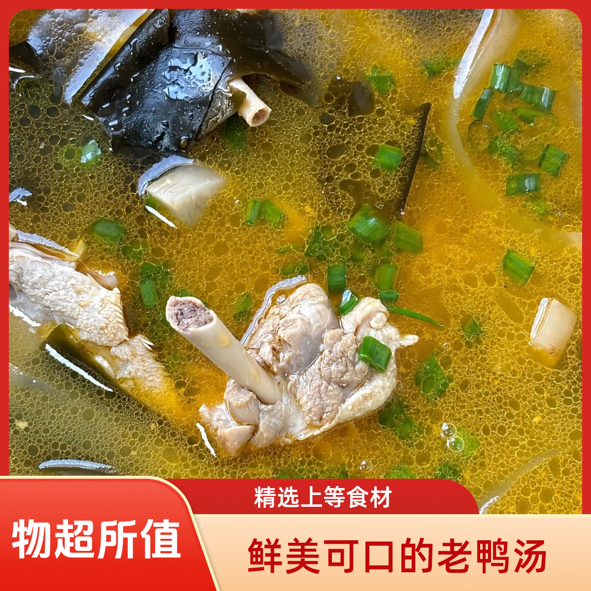酸萝卜老鸭汤（精选鸭肉500g）