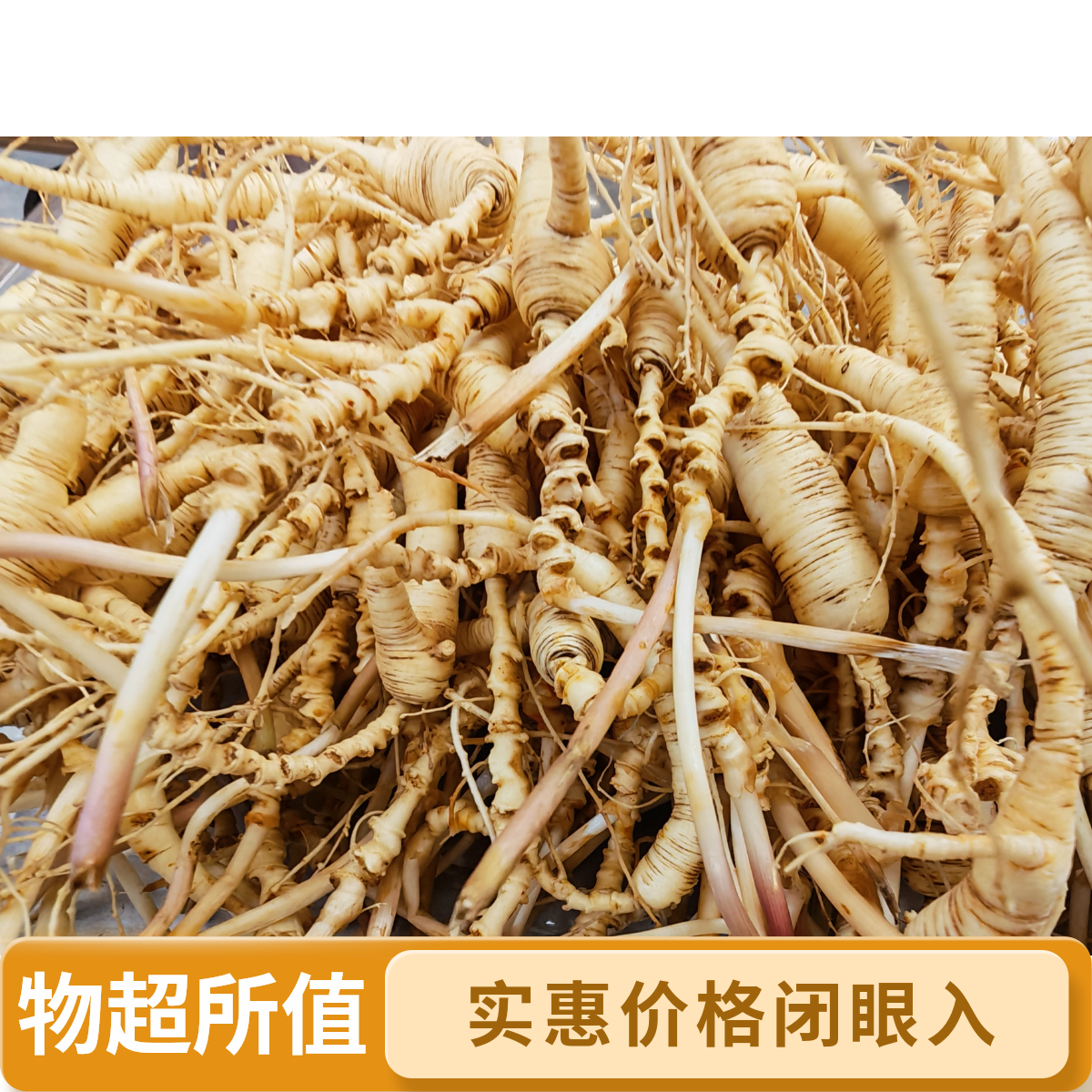 【直播改价链接】林下山参 新鲜下山 自家园地 以直播间为准 