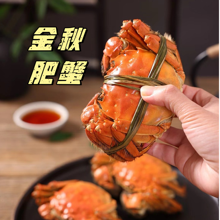 【同城配送】5-20只清蒸大闸蟹（全母2.0-1.3两/只)【国庆中秋】