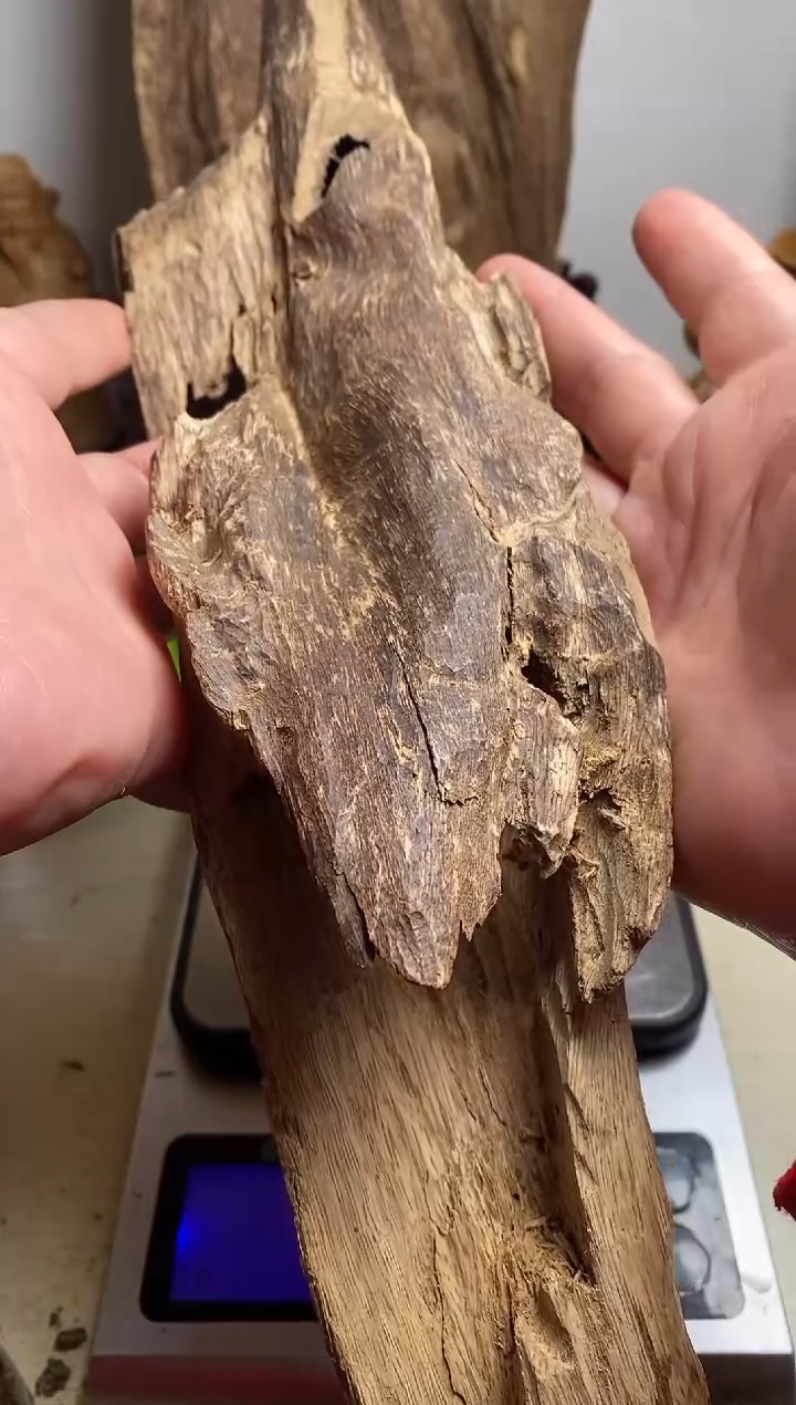 【闪购商品】沉香手把件西马沉香原料190克