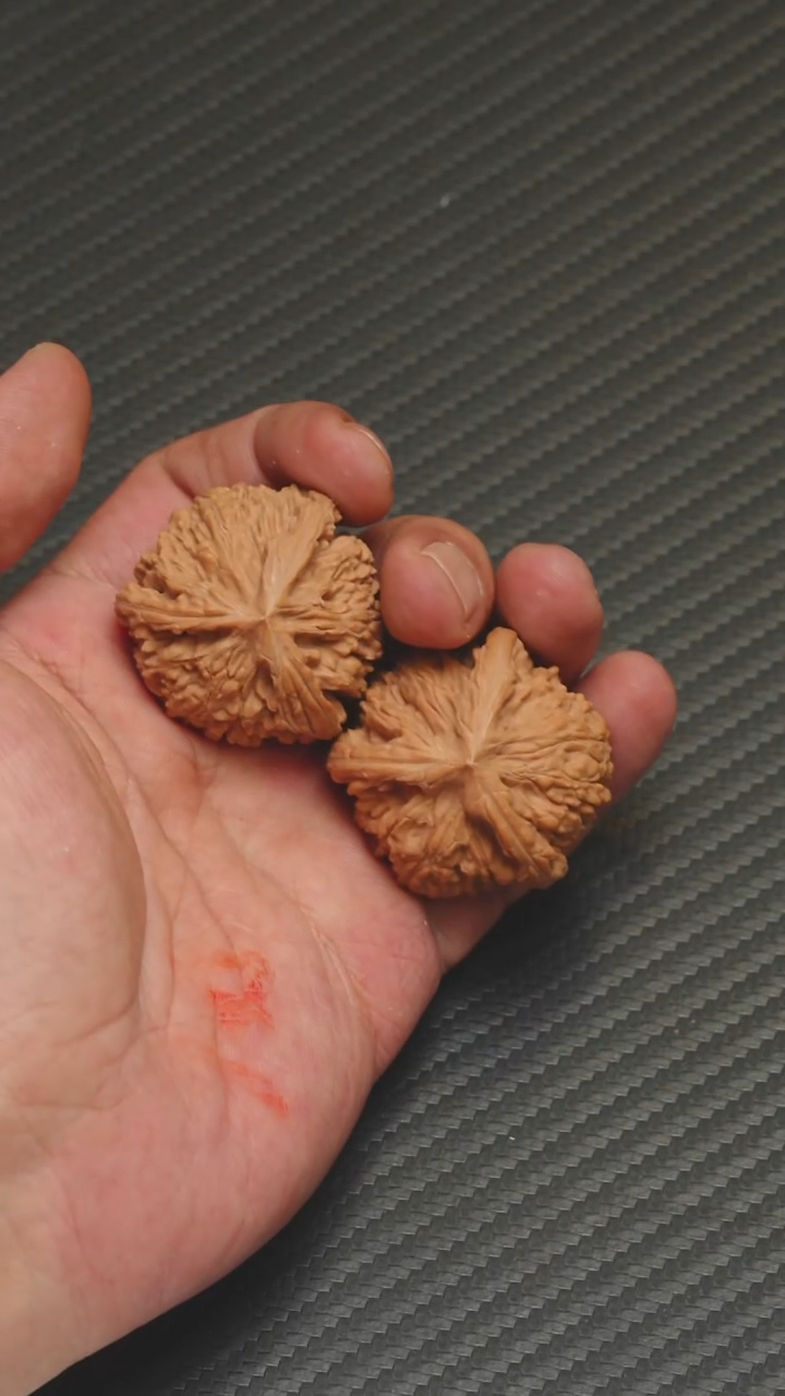 精品御龙粗筋全品三棱37