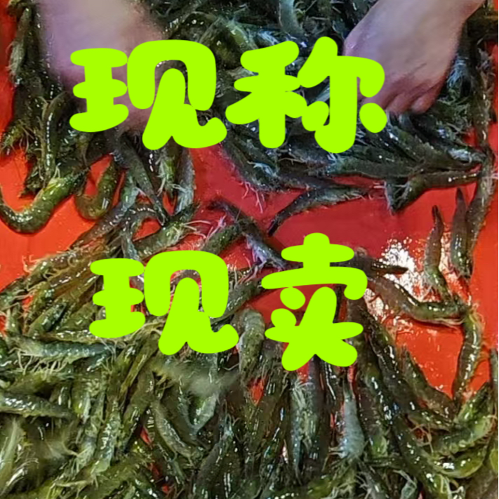 现称现卖【保鲜不保活】