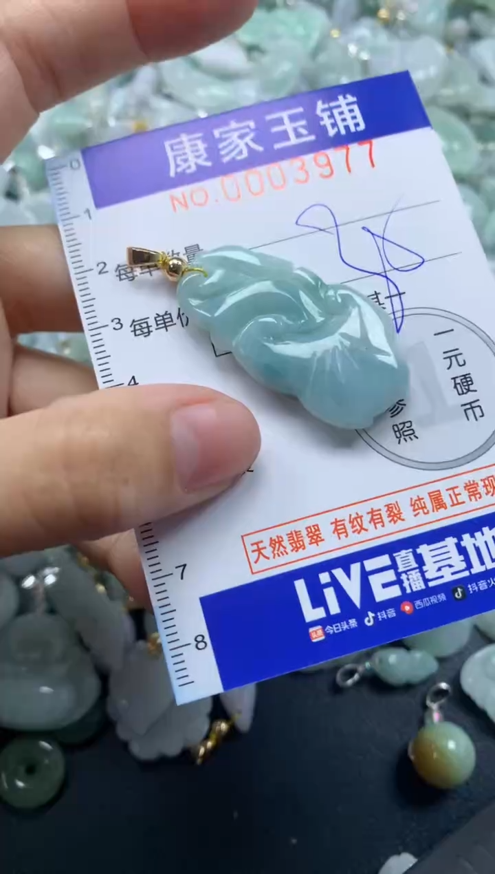 颈饰未镶嵌翡翠3977