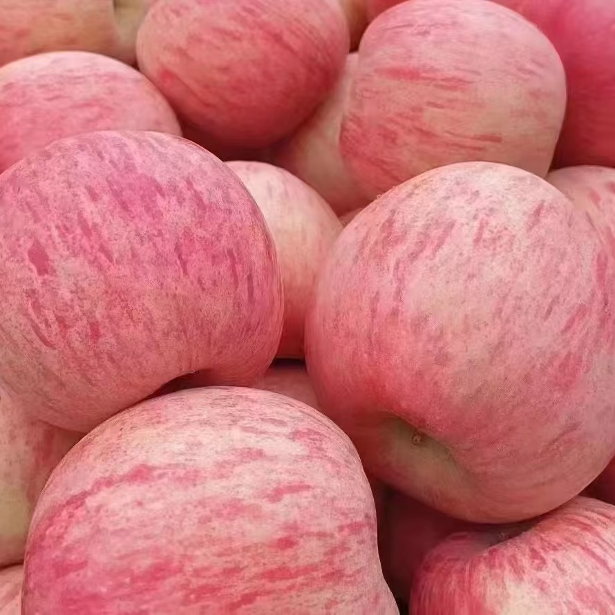 高山红富士苹果水果正宗条纹包邮