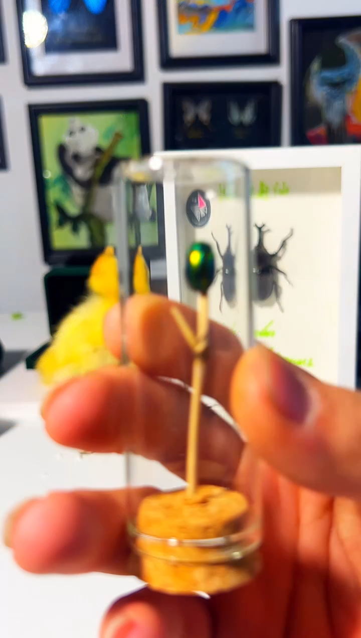 有机玻璃355648616