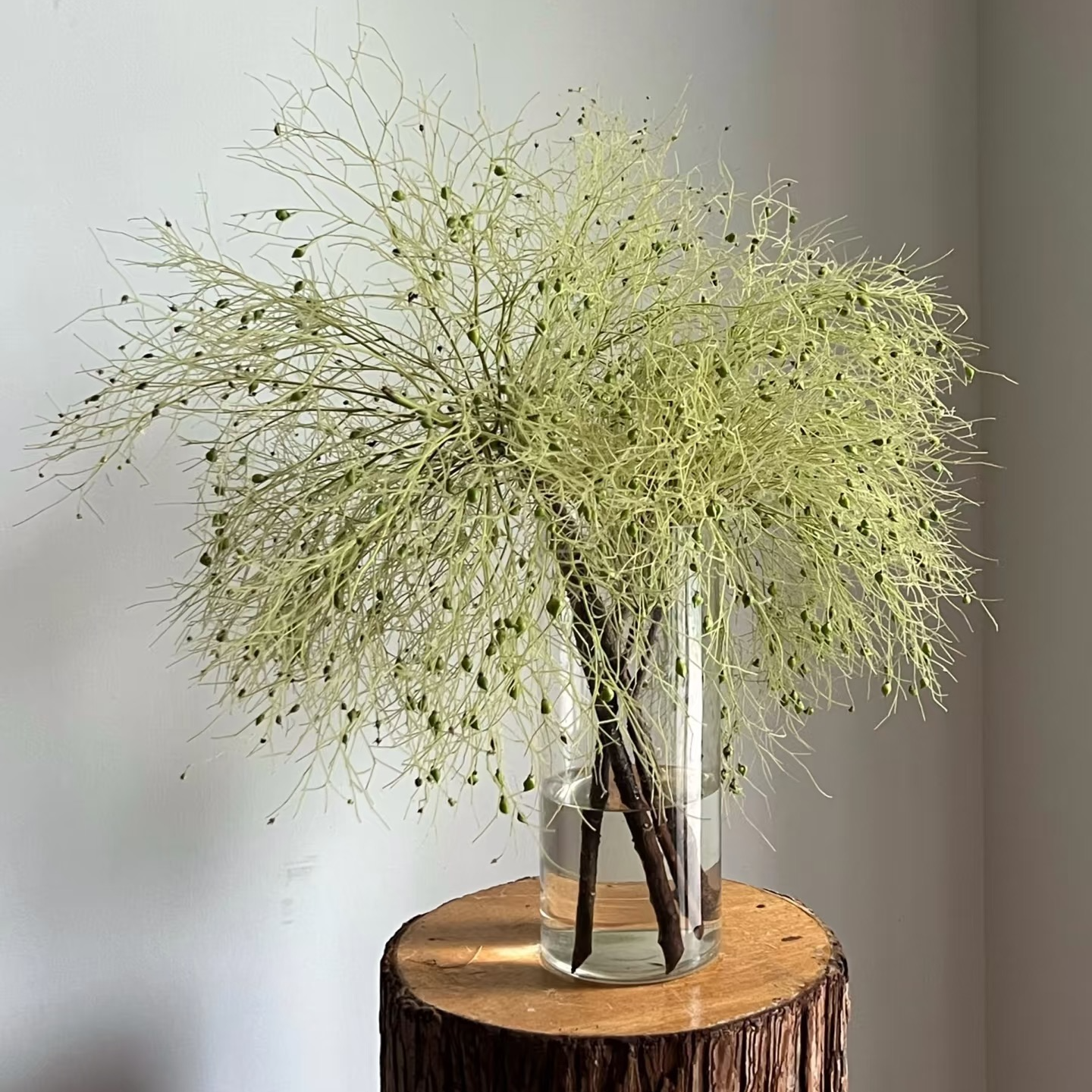 小众鲜切花【柔丝】山货配花1扎2-3支