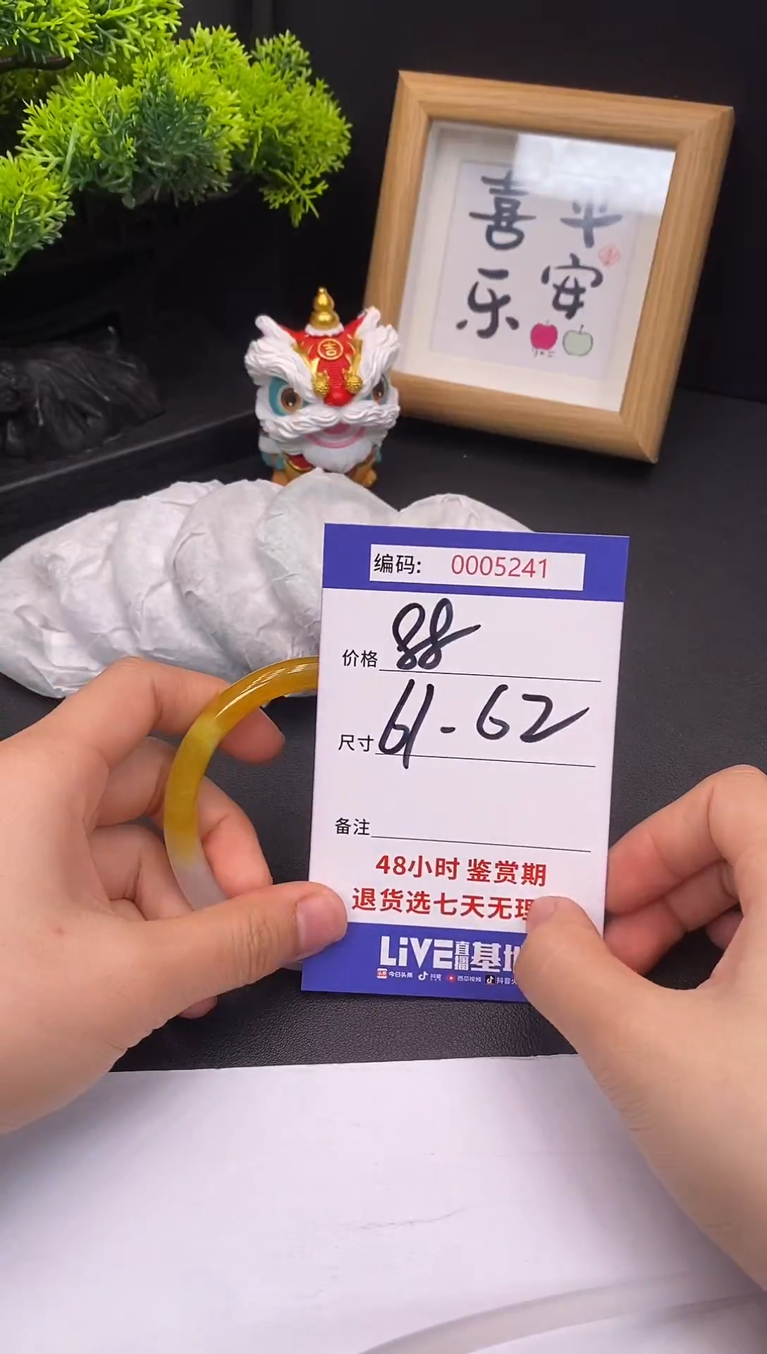 未镶嵌手镯翡翠0005231