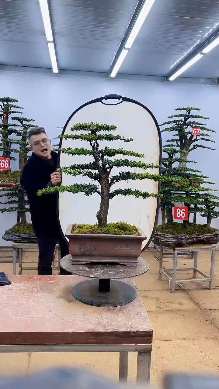 【闪购商品】一物一拍，所见即所得