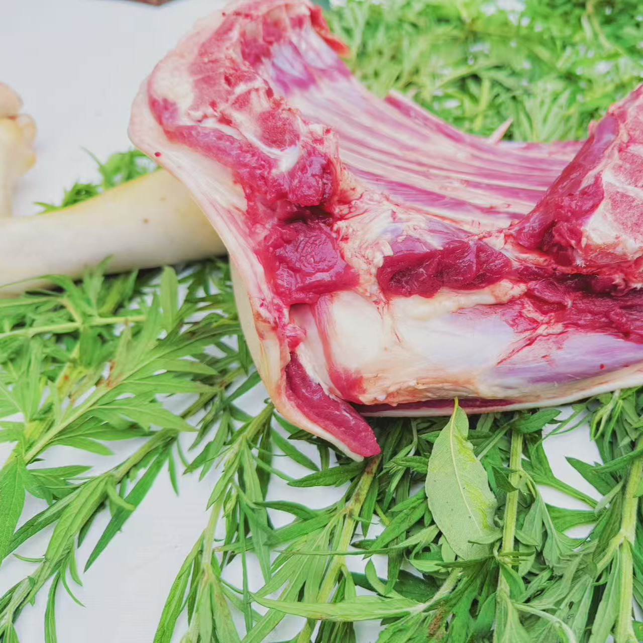 贵州散养黑山羊前腿（直播间现称改价）空运包邮羊肉新鲜的现杀现卖