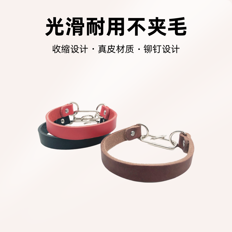 驰昂格力犬惠比特灵缇细犬真皮项圈牛皮脖套狩猎犬细脖子狗狗脖圈