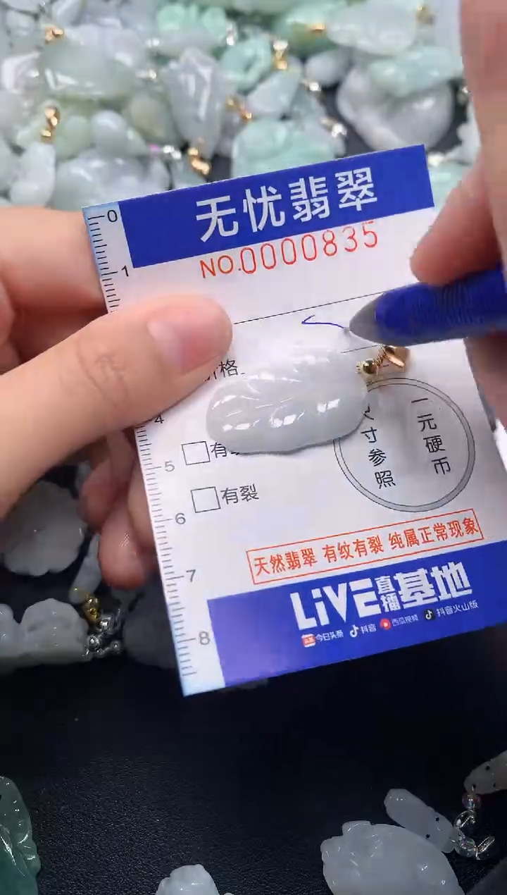 颈饰未镶嵌翡翠835