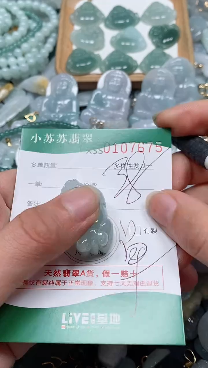 【闪购商品】翡翠颈饰未镶嵌闪购商品0107675