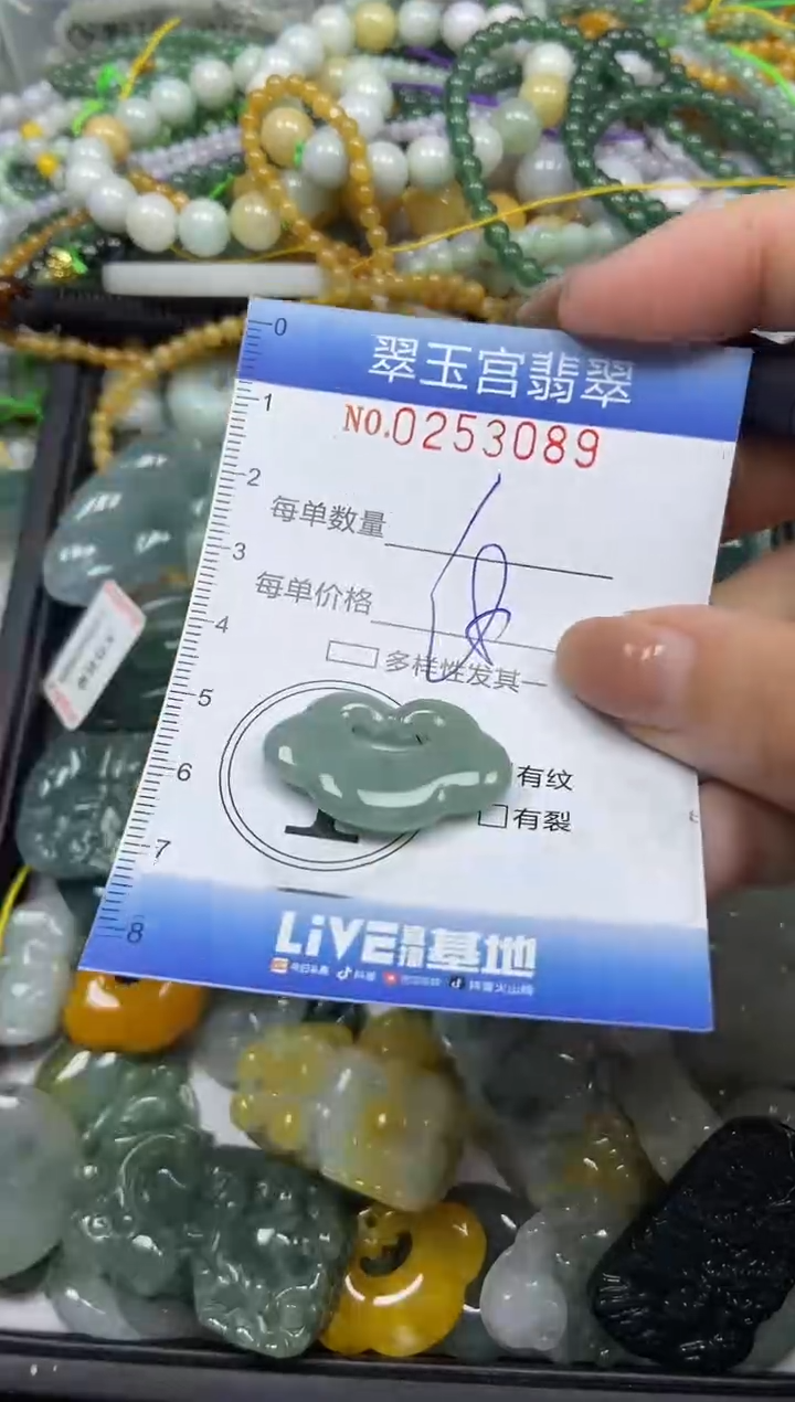 颈饰未镶嵌翡翠闪购C0253089