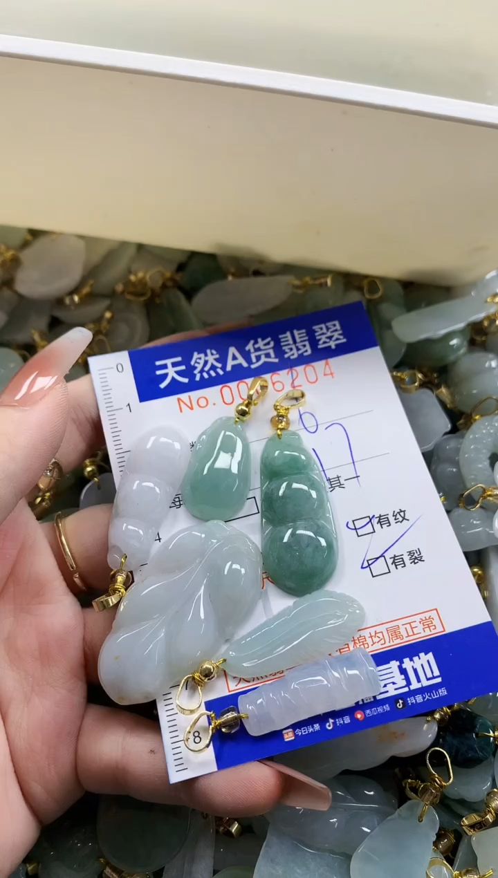 颈饰未镶嵌翡翠芝****t天然A货翡翠
