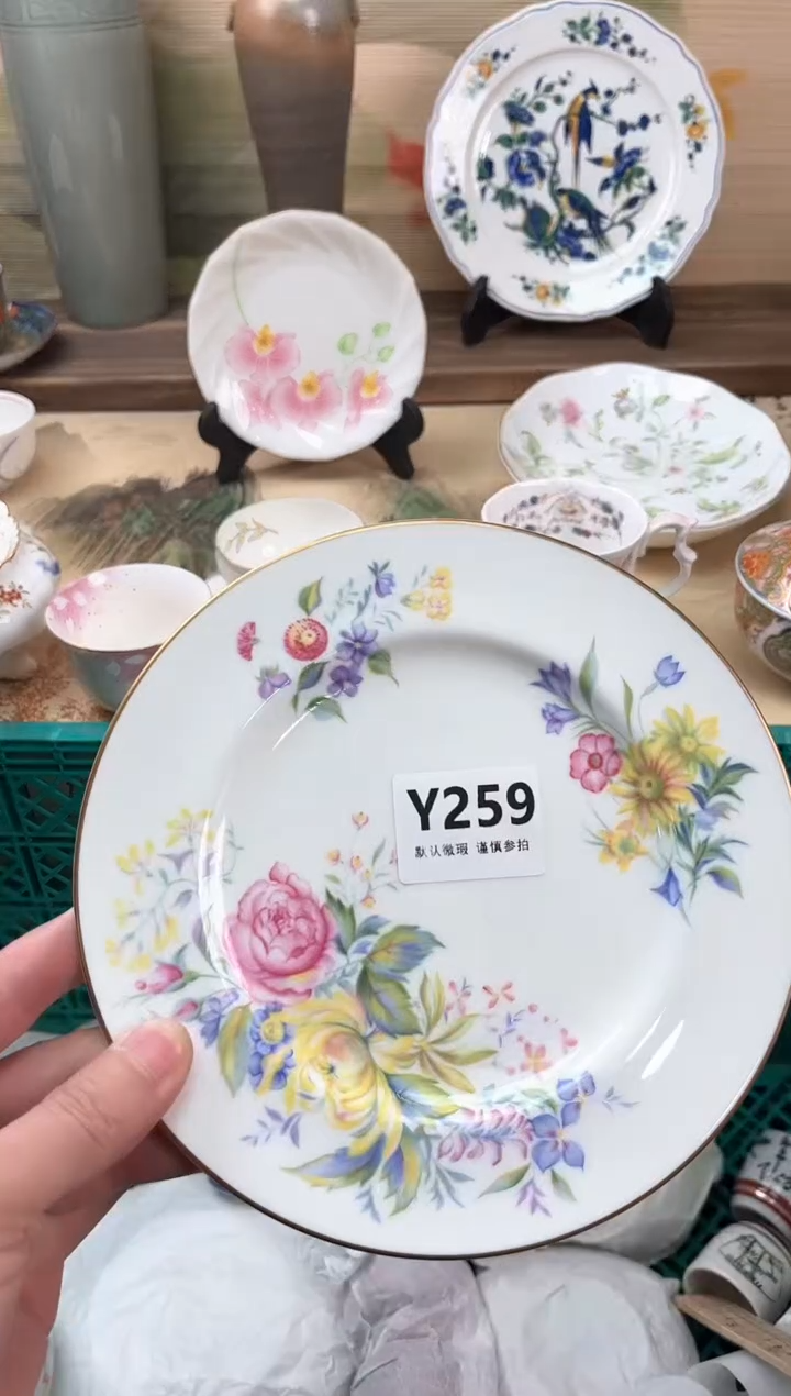 瓷片粽***了259                             