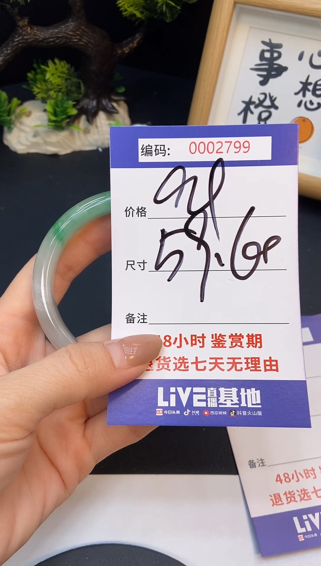 未镶嵌手镯翡翠0002799