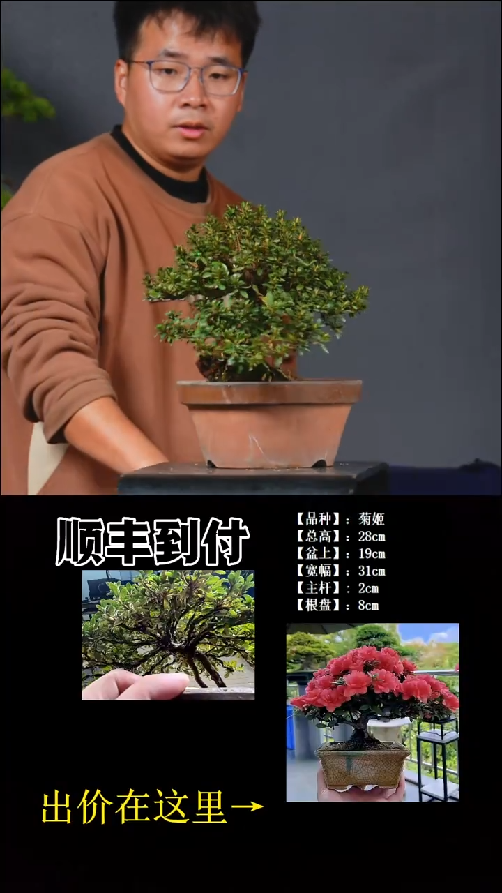 以实际为准菊姬buabubyou