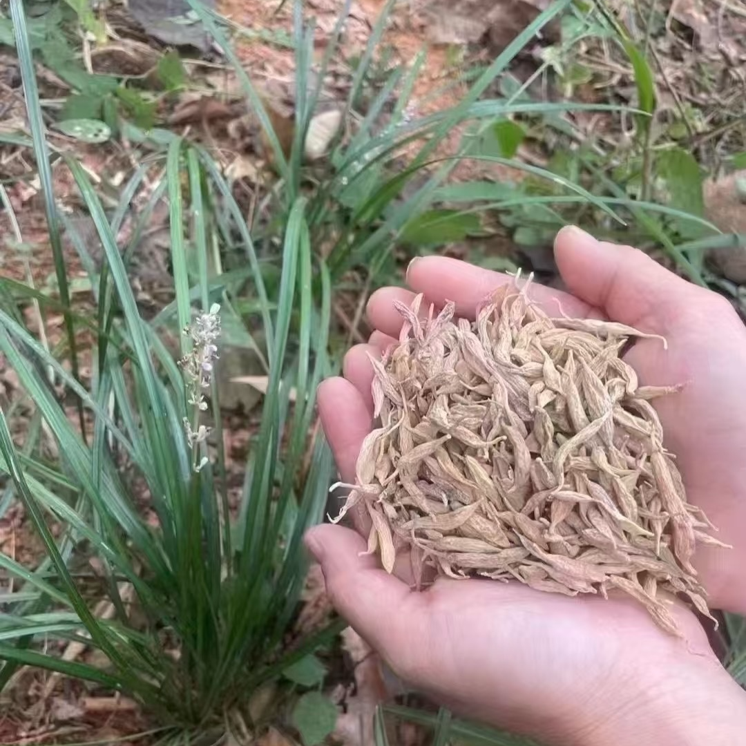 自然晾干深山麦冬