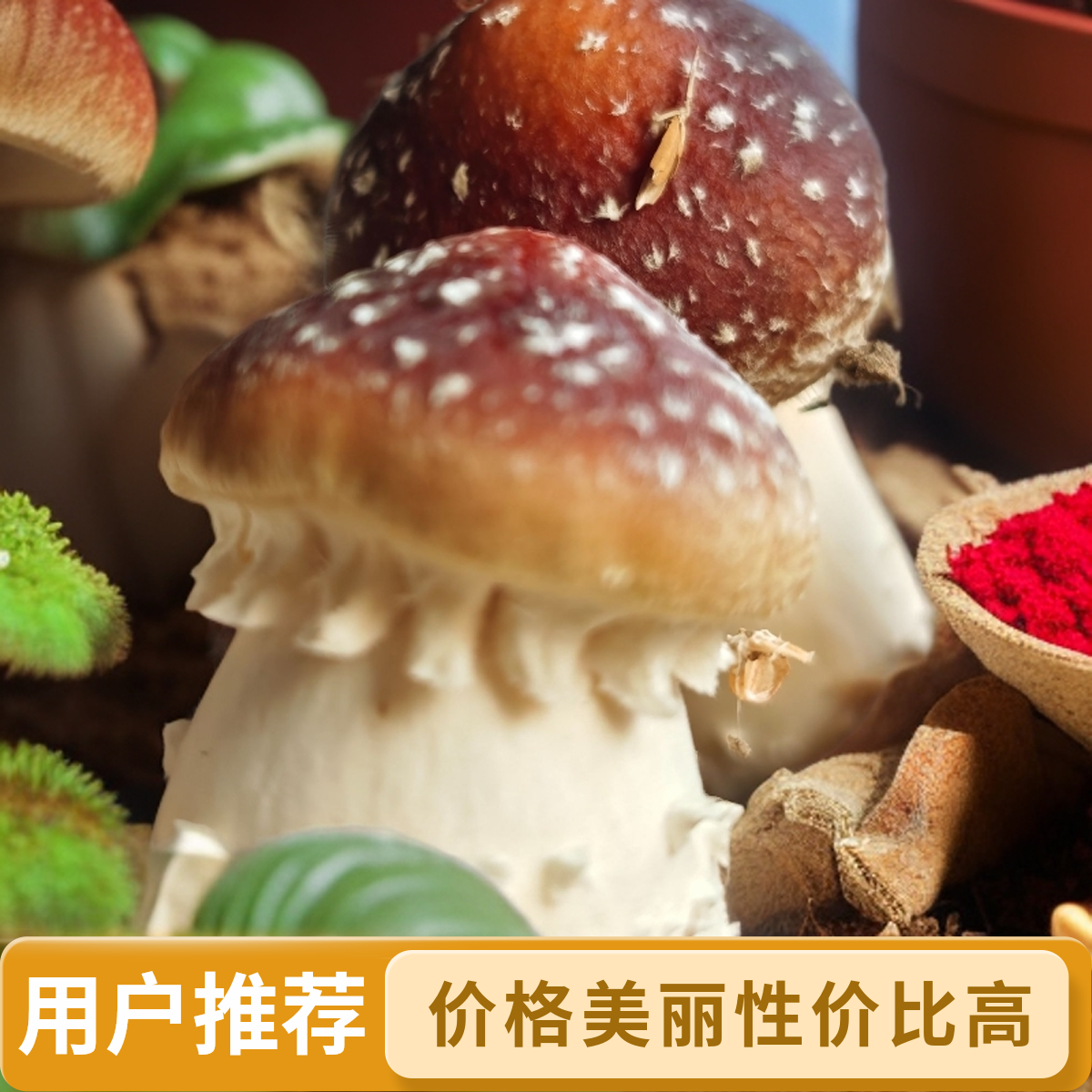 新鲜姬松茸仿野生种植绿色健康适合煲汤火锅的食材