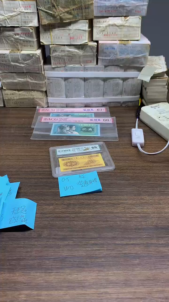 WD紫幽双碟 0.5标十标十