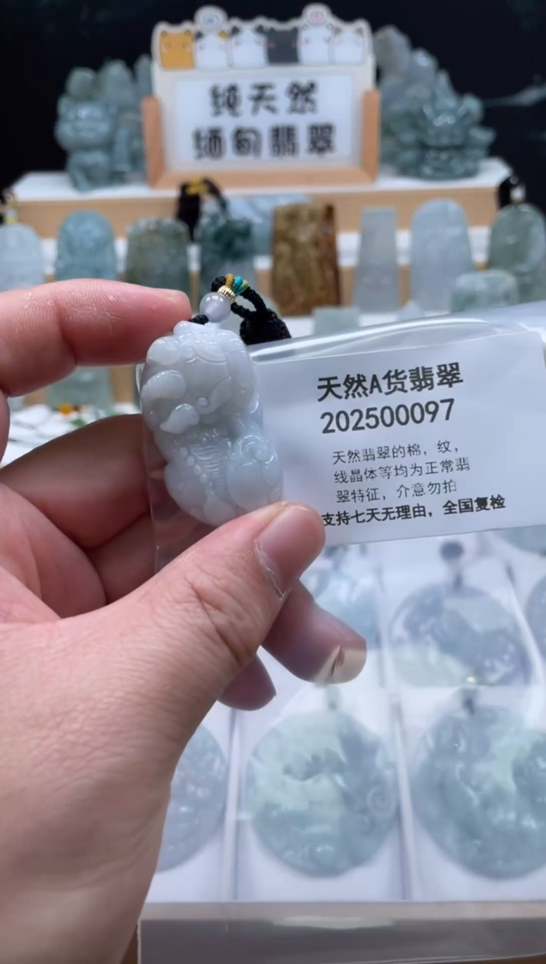 颈饰未镶嵌翡翠翠峰翡翠202512070113