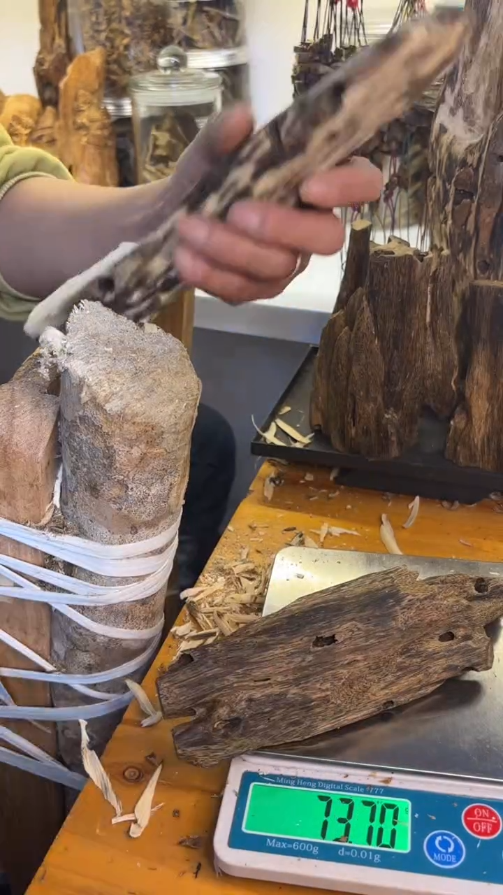 沉香沉香碎屑乌身圆叶品种73克