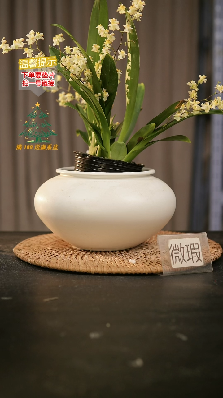 瓷片296内口径约10  外高约10